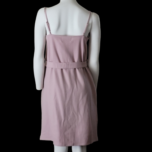 ELIZABETH CROSBY Anthropologie NWT Pink Emma Dress Tie Waist M - Picture 3 of 13